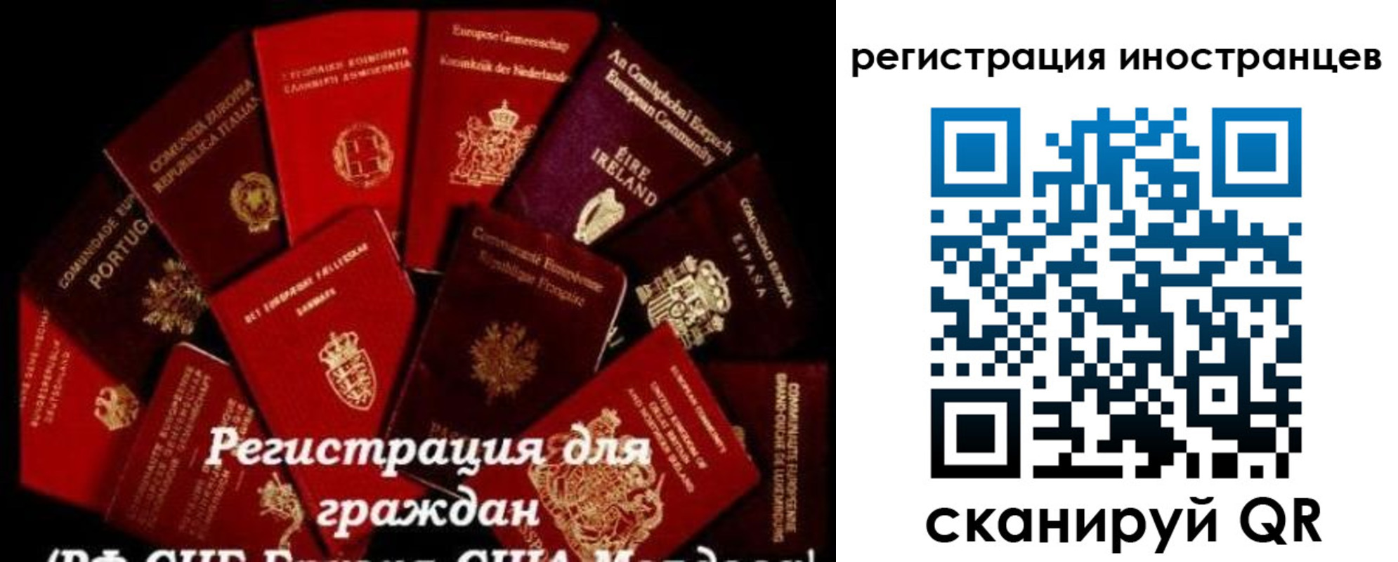 прописка иностранных граждан в Киселёвске